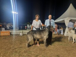 Slovenia August 2022